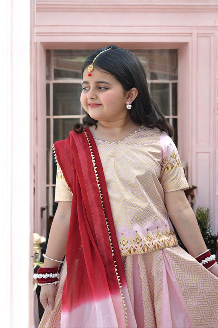 Carnation Pink Blockprinted Lehenga Choli Set